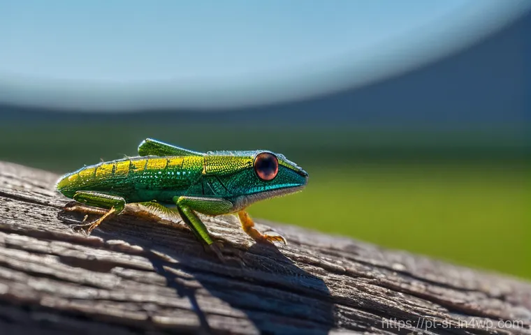 시민과학 프로젝트의 프로젝트 관리 기법 - Here are three detailed image generation prompts in English, designed to adhere to all specified gui...