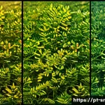 시민과학 프로젝트의 성과 분석 방법 - Here are three detailed image generation prompts based on the themes of citizen science: