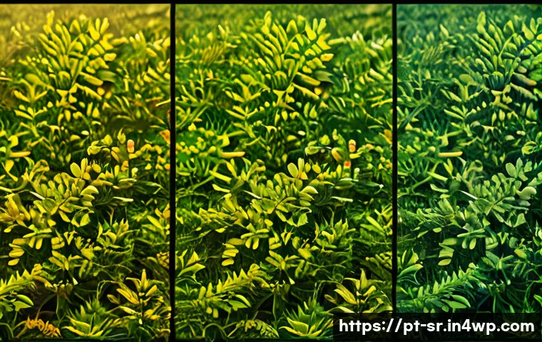 시민과학 프로젝트의 성과 분석 방법 - Here are three detailed image generation prompts based on the themes of citizen science: